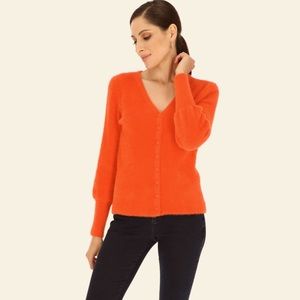 Rino & Pelle (European Brand)